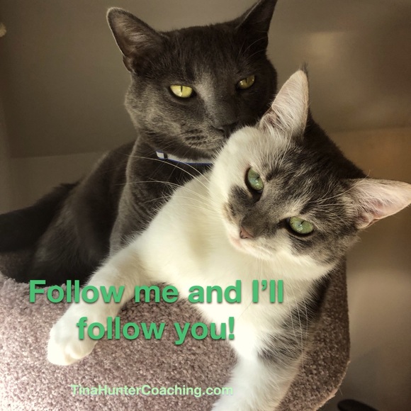 Follow! - Picture 1 of 1